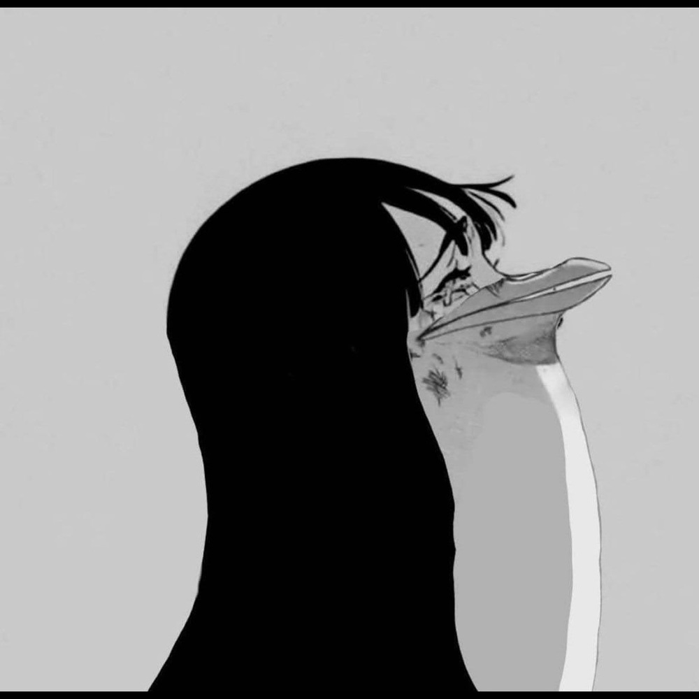 Meet your Posher, Carina